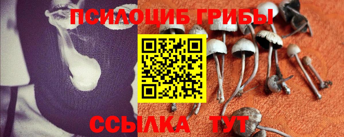 Псилоцибиновые грибы MAGIC MUSHROOMS Великие Луки