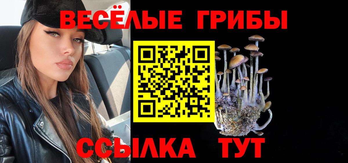 Галлюциногенные грибы Magic Shrooms  Вход с VPN  Великие Луки 