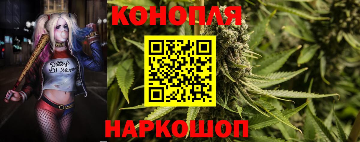Конопля сатива Великие Луки